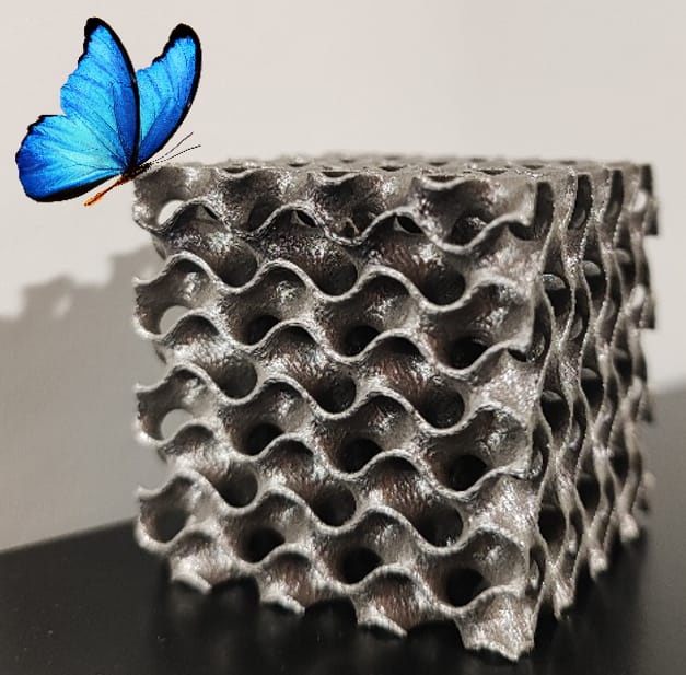 TPMS : quand la science et la nature inspirent l’ingénierie